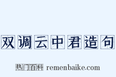 双调云中君造句是什么意思的图片